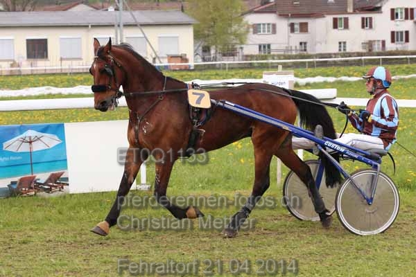 ET0Q1133 prot
